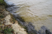 В Казахстане произошел аварийный сброс цианидов в реку