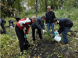 В 2011 в Кузбассе будет посвящен защите лесов