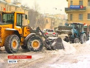 Уборка снега в Петербурге привела к экологической катастрофе