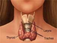 Из-за плохой экологии среди южноуральских детей растет заболеваемость щитовидной железы