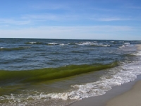Обеспечение экологической безопасности бассейна Балтийского моря за счет утилизации осадков сточных вод гальванических производств