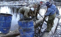 Минприроды Коми оценивает ущерб экологии республики от разливов нефти в 11 млн рублей
